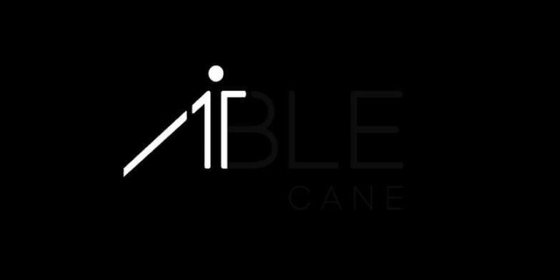 The Able Cane